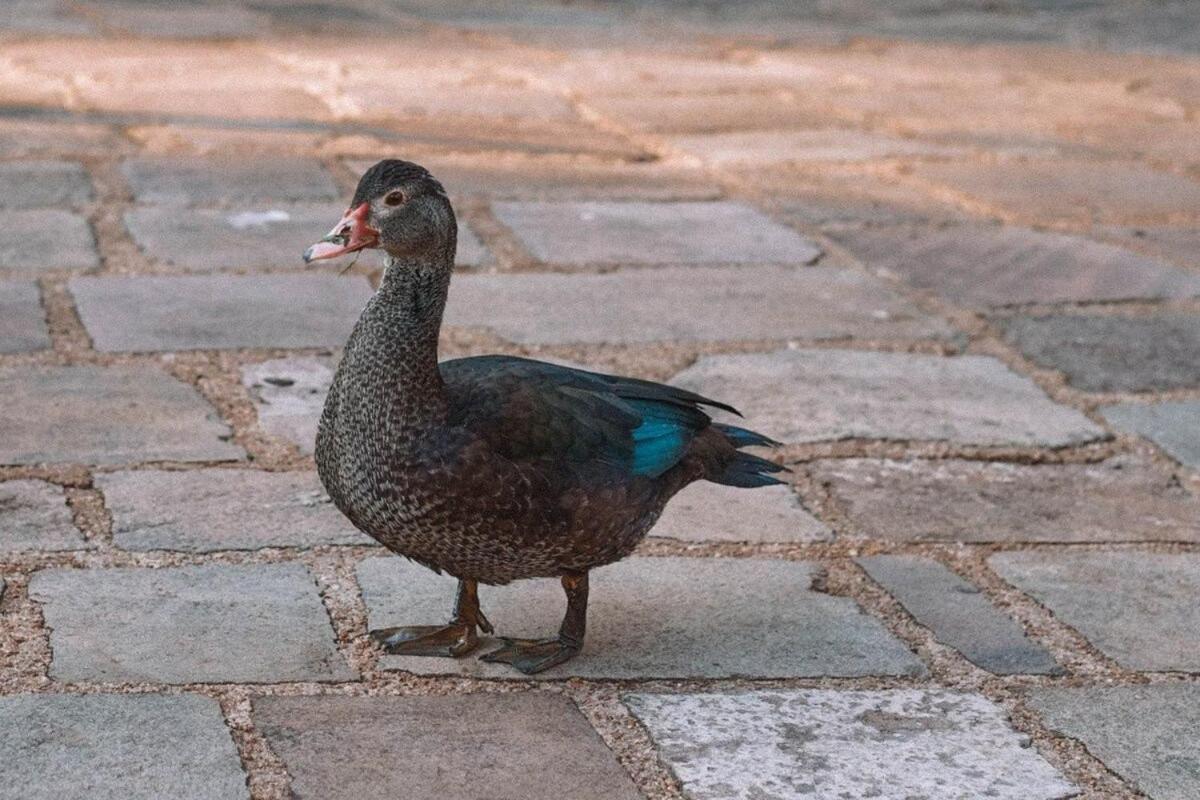 Сasa de vacaciones Borgo 28