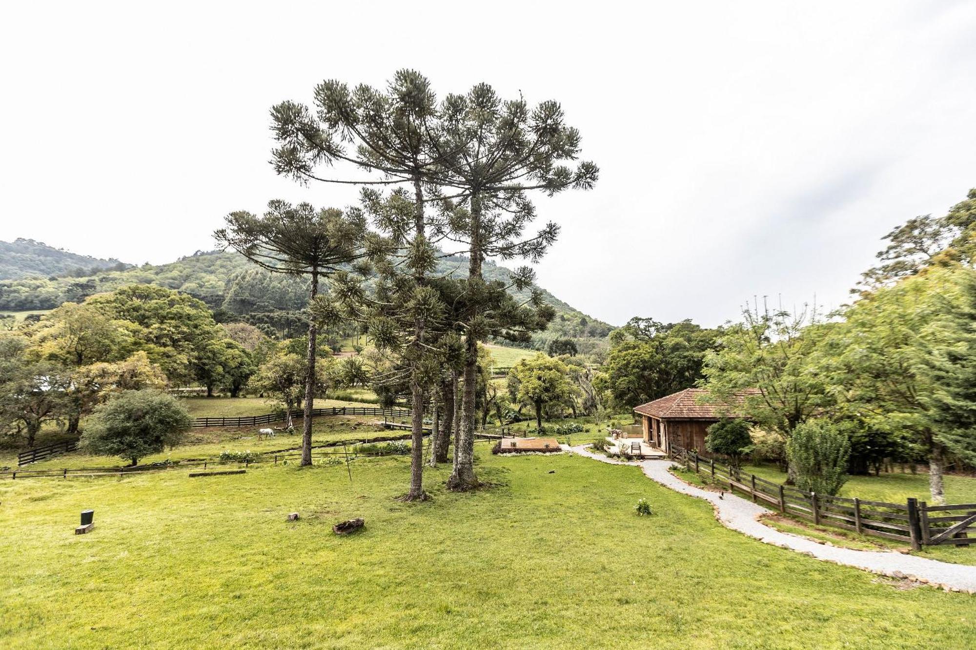 Borgo 28 Сasa de vacaciones